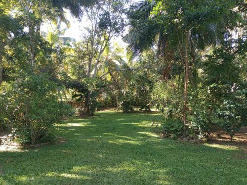 een park met bomen en groen gras en een veld bij The Mud House in Talalla South