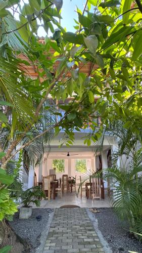 Κήπος έξω από το The lookout lodge