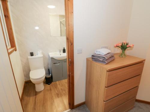 a bathroom with a toilet and a sink at Cedar Lodge in Rugeley