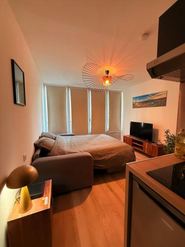 Studio with balcony في تورنو-سور-رون: غرفة نوم بها سرير وأريكة وتلفزيون