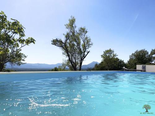 Holiday Home La Finca OliveTree by Interhome