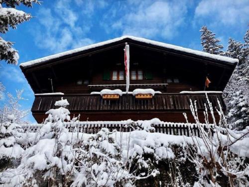 Holiday Home Chalet Tannegüetli by Interhome photo 3