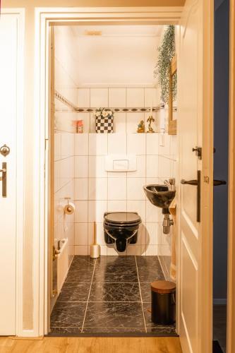 a bathroom with a black toilet and a sink at Aan `t Krakeel in Noordscheschut