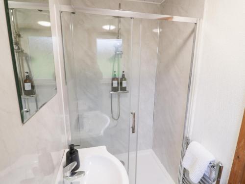 a bathroom with a shower with a sink and a toilet at Elm Lodge in Rugeley