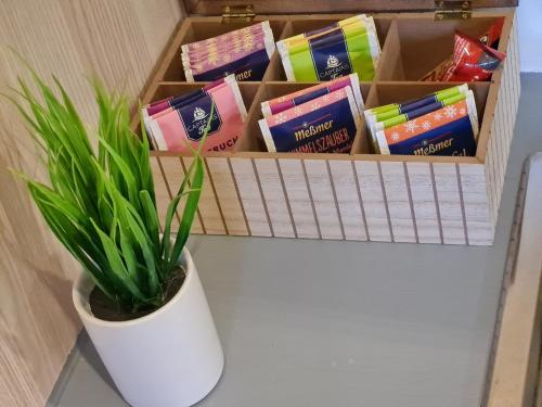 Fotografie z fotogalerie ubytování " Michaelas HUUS " zwischen den Meeren, Trappenkamp Holsteinische Schweiz v destinaci Trappenkamp