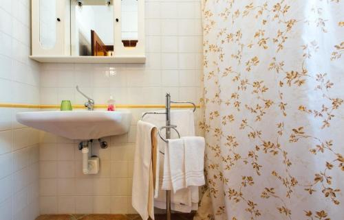 een badkamer met een wastafel en een douchegordijn bij Agriturismo Lillastro Grosseto in Braccagni