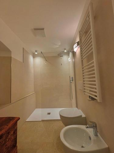 een badkamer met een douche, een toilet en een wastafel bij Casa Patty Moena in Moena