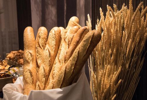 Jídlo v hotelu nebo okolí