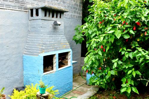 una cuccia blu accanto a un cespuglio di Pousada Pantera do Rosa a Imbituba