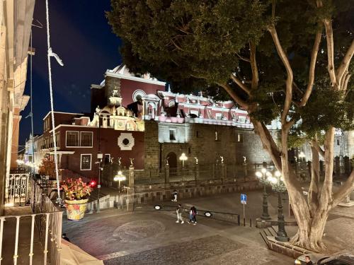 a building at night with a tree in the foreground at Vista Única a la Catedral desde tu Balcón Privado in Puebla