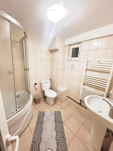 ein Badezimmer mit Toilette, Dusche und Waschbecken in der Unterkunft Casa Oriana in Predeal