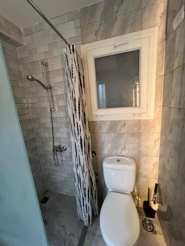 un bagno con wc e doccia di Selena bay hurghada a Hurghada