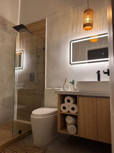 een badkamer met een toilet, een wastafel en een spiegel bij Blue Zone Private Eco Residence - Essence Suite - in Tamarindo