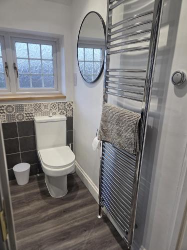 a bathroom with a toilet and a mirror at Comfy Home- Coley Park in Reading