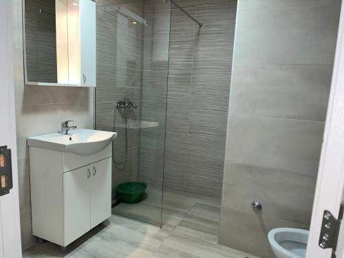 a bathroom with a shower with a sink and a toilet at Mimura 3 in Belgrade