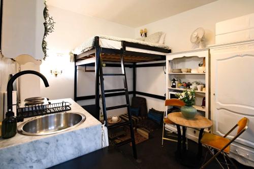 eine Küche mit Spüle und Etagenbett in der Unterkunft Studio design Pigalle Montmartre in Paris