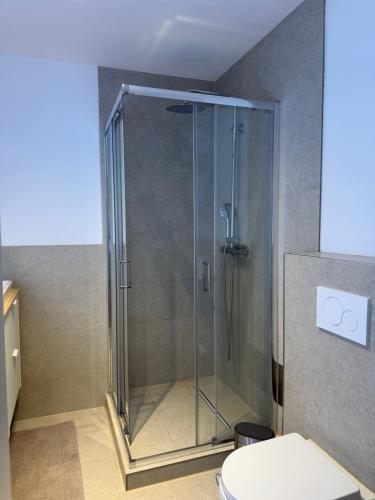 een douchecabine in een badkamer met een toilet bij Konstanz Lakeside Apartment in Reichenau