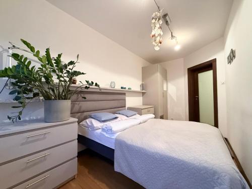 Postel nebo postele na pokoji v ubytování Apartament Odkryta 36a