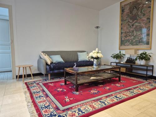 een woonkamer met een bank en een rood tapijt bij Le rempart in Chalon-sur-Saône