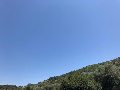 Billede fra billedgalleriet på Actium i Vlorë