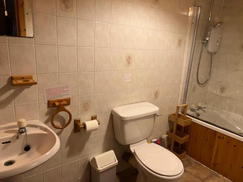 een badkamer met een toilet, een wastafel en een douche bij Pond Cottage in Covington