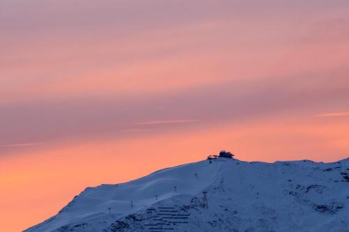 Naturlandskabet i nærheden af lejligheden