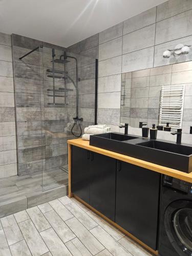 a bathroom with a sink and a shower at Bracka Loft in Żywiec