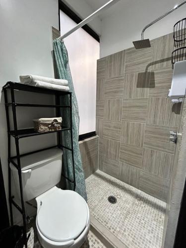 a bathroom with a toilet and a shower at Singular Coyoacán Pepper My Love! in Mexico City