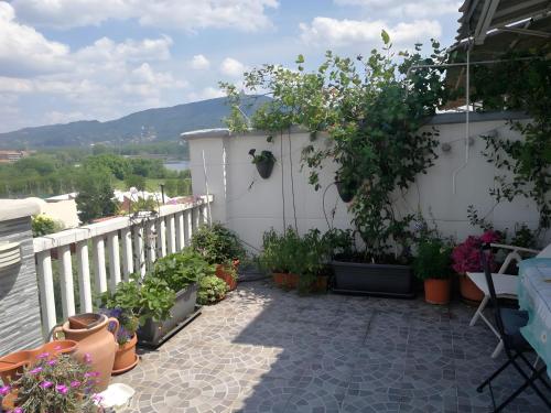 un patio con piante in vaso e una recinzione bianca di Casa Sofìa a Torino