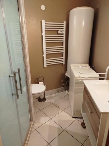 a bathroom with a shower and a toilet and a sink at Les Balcons de Valezan in La Plagne Tarentaise