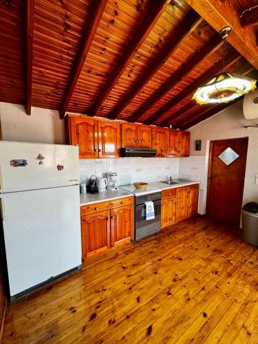 eine Küche mit weißem Kühlschrank und Holzschränken in der Unterkunft Ireon Seaside Breeze studio in Ireo