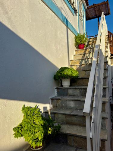 a stairway with potted plants on the side of a house at Ireon Seaside Breeze studio in Ireon