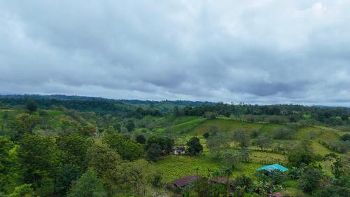 Naturlandskabet i nærheden af lodgen