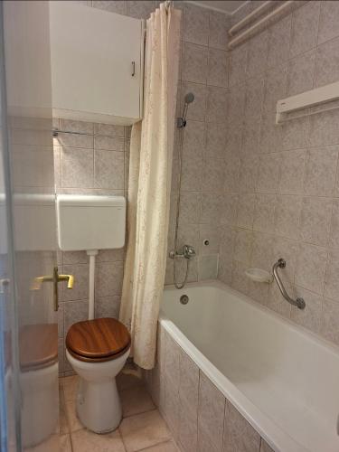 a bathroom with a toilet and a tub with a wooden toilet seat at Üdülő in Gárdony