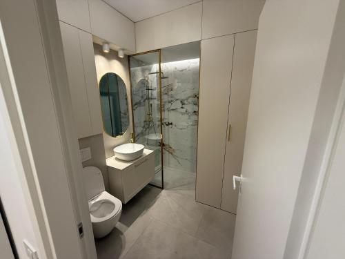 ein Badezimmer mit Toilette, Waschbecken und Spiegel in der Unterkunft Baneasa Panorama Lake in Bukarest