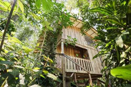 Billede fra billedgalleriet på Casa da Árvore - Jussara Cultural i Joinville