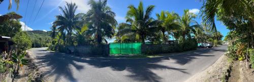 波拉波拉Bora Roots Camp的一条两旁种满棕榈树、绿篱笆的道路