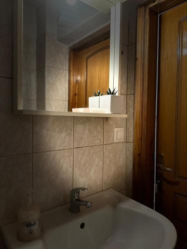 a bathroom with a sink and a mirror with a plant at Little Florina Nest in Florina