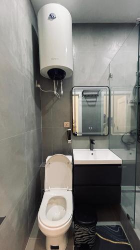 a bathroom with a toilet and a sink and a mirror at Kamoli Khujandi 166 in Khujand
