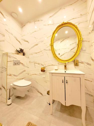a bathroom with a white toilet and a mirror at Poznaj Mickiewicza 2 in Racibórz