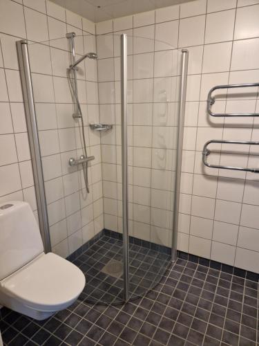 a bathroom with a toilet and a shower stall at Arcticstay 25A in Pajala