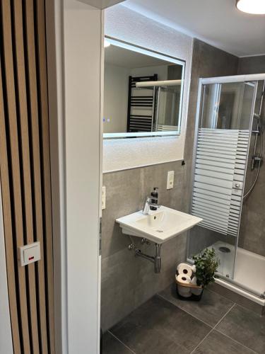 Koupelna v ubytování FeWo - EG Apartment Mosel- & Weinquartier, Terrasse, Parkplatz, moderne Küche bis 4 Personen