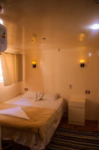 a bedroom with two beds and a window at Floating Hotel- Happy Nile Boat in Luxor