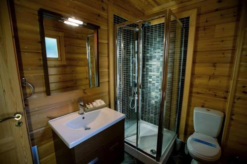 une salle de bains avec lavabo, douche et toilettes dans l'établissement Ξενώνας Σαν Παραμύθι, à Sinoikía Mési Trikálon