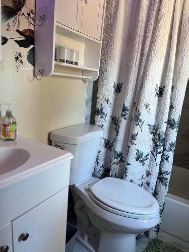 een badkamer met een toilet, een wastafel en een douchegordijn bij The Bay House in Shady Side