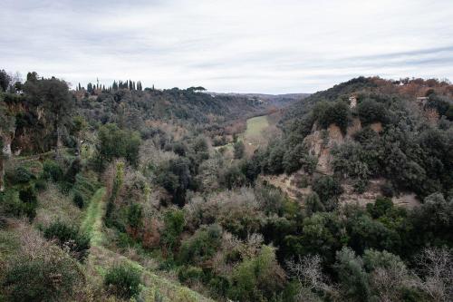 een luchtfoto van een beboste heuvel met een rivier bij La loggia del pappagallo in Gallese