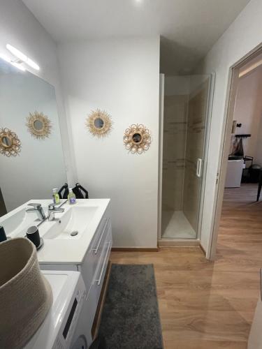 Superbe Duplex au pied du tram et de la gare