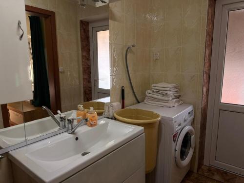 een badkamer met wastafel en wasmachine bij Popasul din Valea Mare in Caransebeş