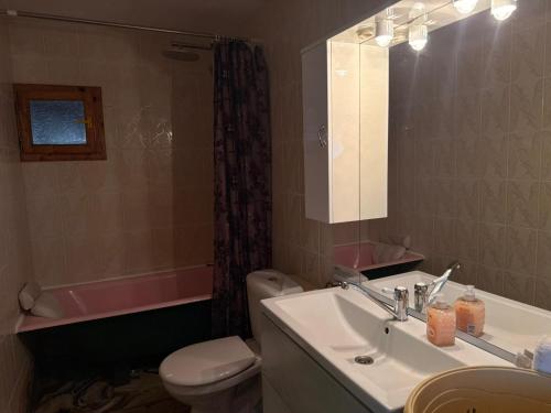 een badkamer met een wastafel, een toilet en een spiegel bij Popasul din Valea Mare in Caransebeş