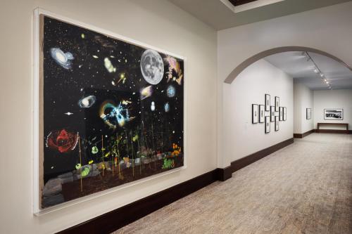 The Alfond Inn photo 86